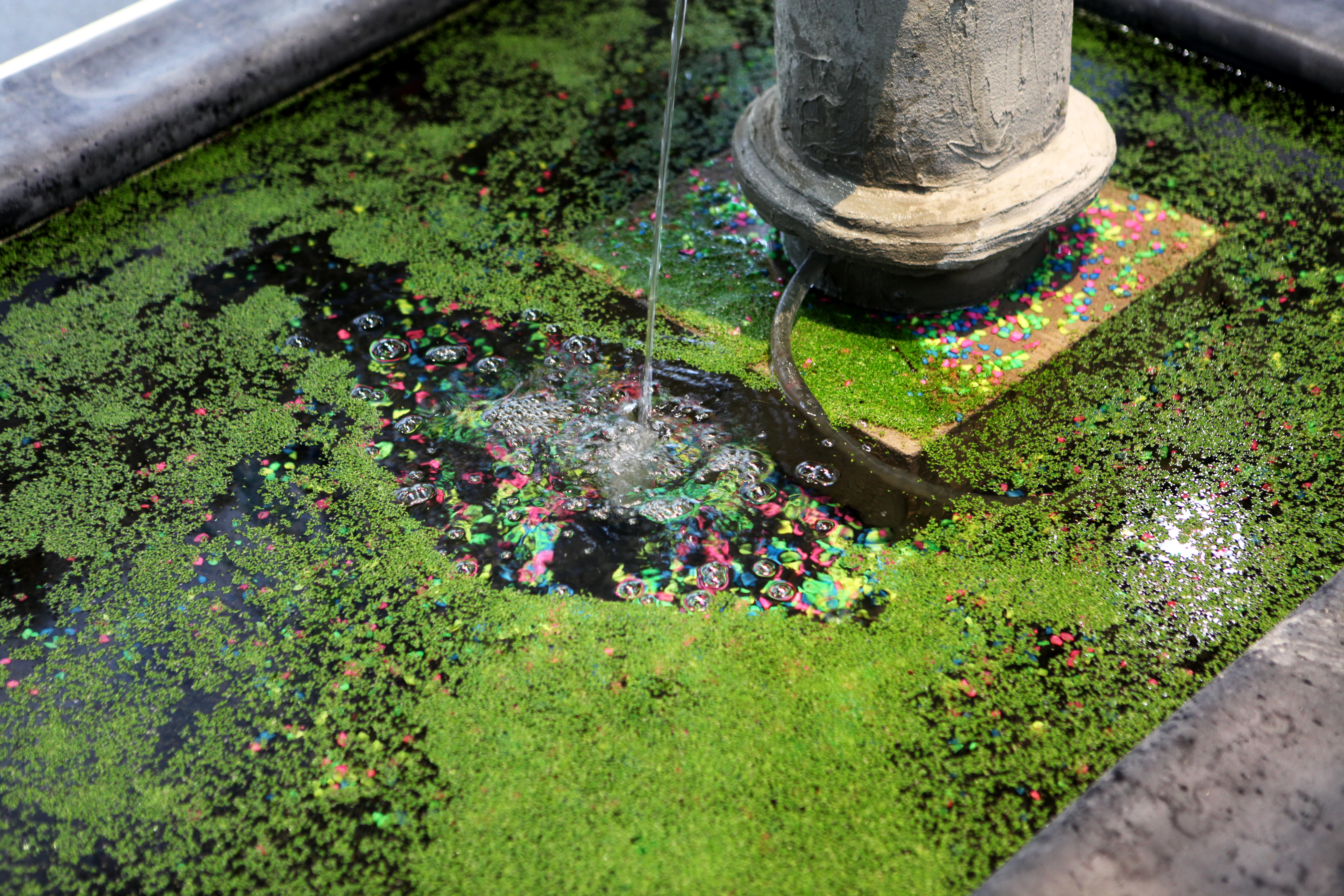 Développement : Léa Beaubois avec Processwire. Typographies : Young Serif dessinée par Noir Blanc Rouge <noirblancrouge.com>, FairfaxHD par Kreative Korporation <https://www.kreativekorp.com> et Piacevoli par un•e enthousiaste du pixel <https://fontenddev.com>.