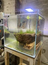 {$dessin->description}