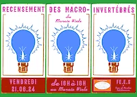 {$dessin->description}