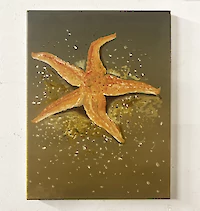 {$dessin->description}