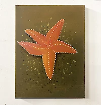 {$dessin->description}